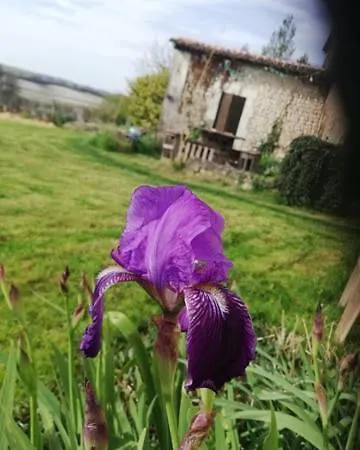 Ferienwohnung Au Bout Du Chemin Bouteilles-Saint-Sébastien Exterior foto